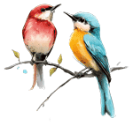 bird
