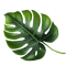 leave