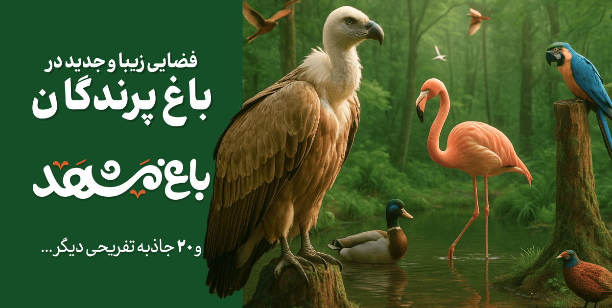 باغ مشهد